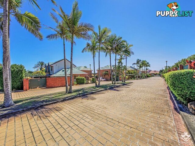 ID:21155591 116 Meadowlands Road Carina QLD 4152