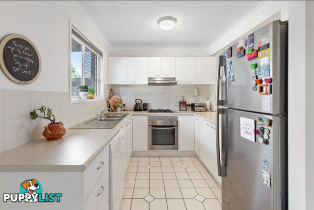 ID:21155591 116 Meadowlands Road Carina QLD 4152