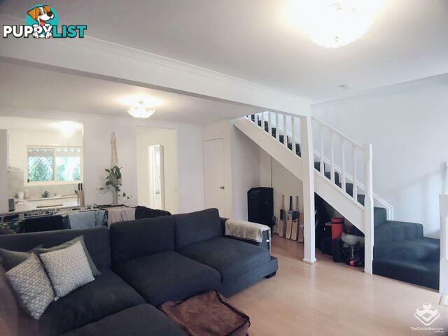 ID:21155591 116 Meadowlands Road Carina QLD 4152