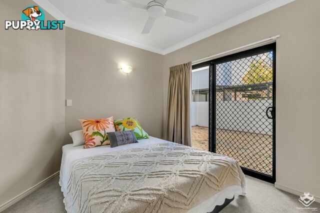 ID:21157532 448 Boundary Street Spring Hill QLD 4000
