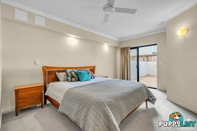 ID:21157532 448 Boundary Street Spring Hill QLD 4000
