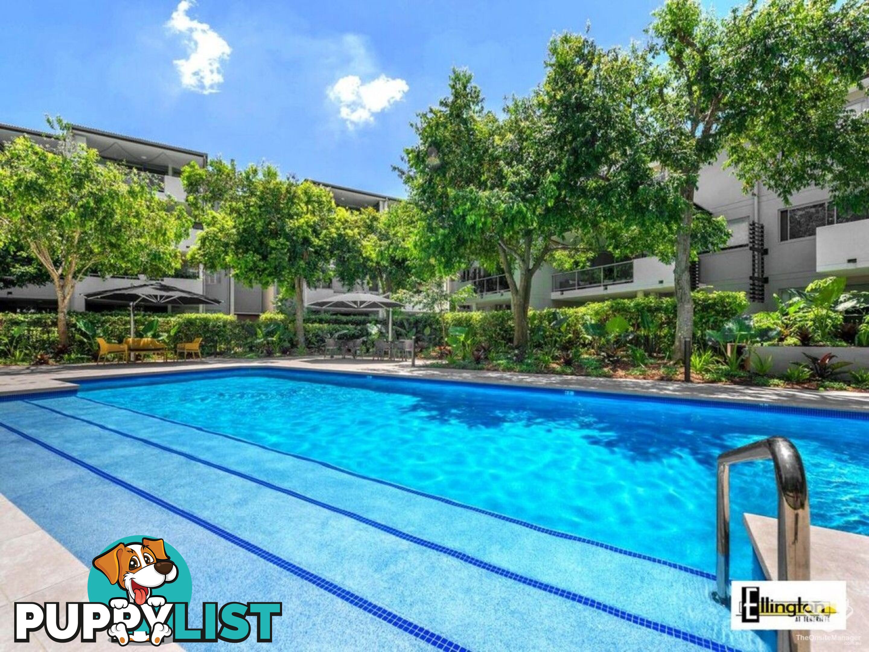 ID:21155187 71 Beeston Street Teneriffe QLD 4005
