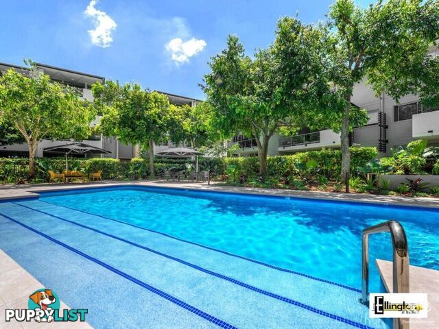ID:21155187 71 Beeston Street Teneriffe QLD 4005
