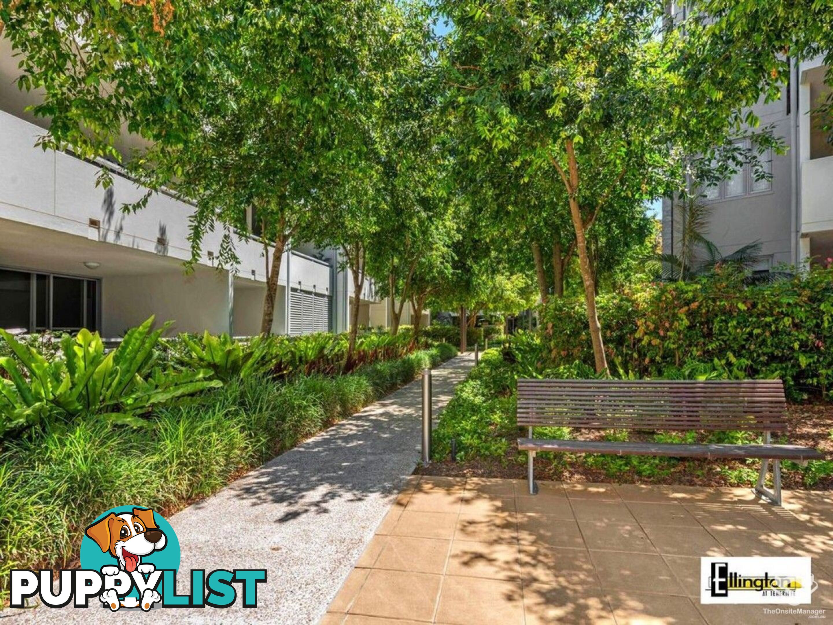 ID:21155187 71 Beeston Street Teneriffe QLD 4005