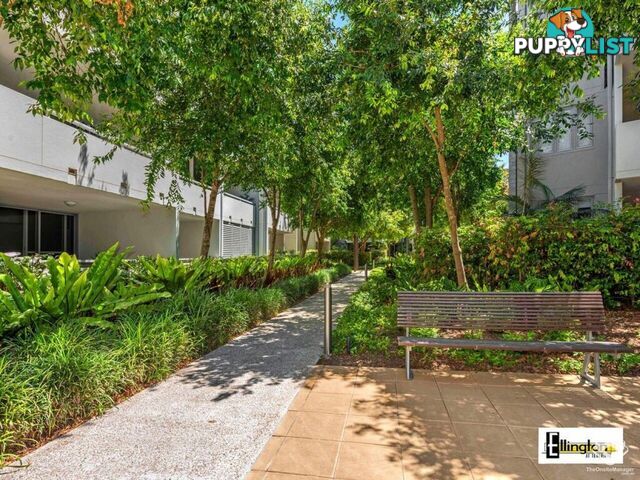 ID:21155187 71 Beeston Street Teneriffe QLD 4005