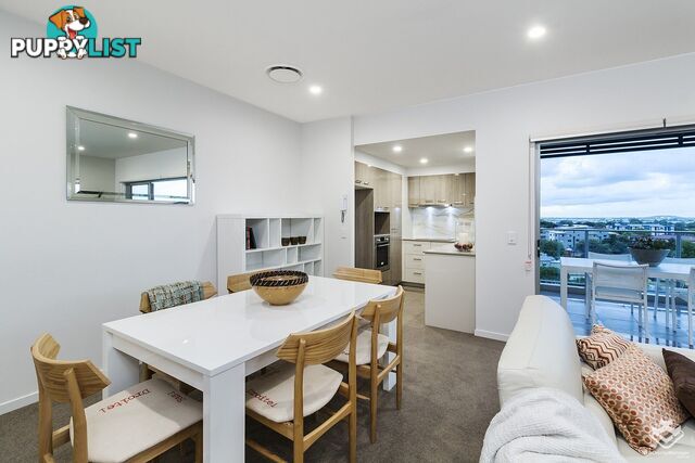 ID:21080221 43 Union Street Nundah QLD 4012