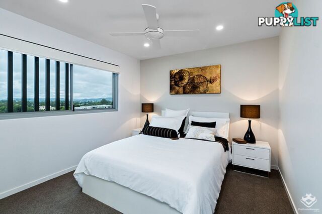 ID:21080221 43 Union Street Nundah QLD 4012