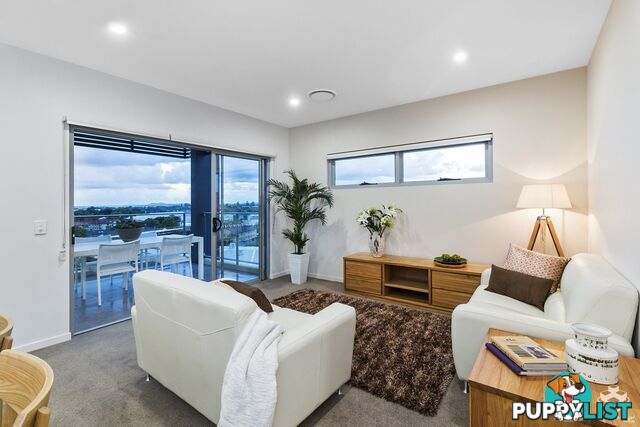 ID:21080221 43 Union Street Nundah QLD 4012