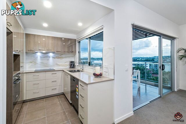 ID:21080221 43 Union Street Nundah QLD 4012
