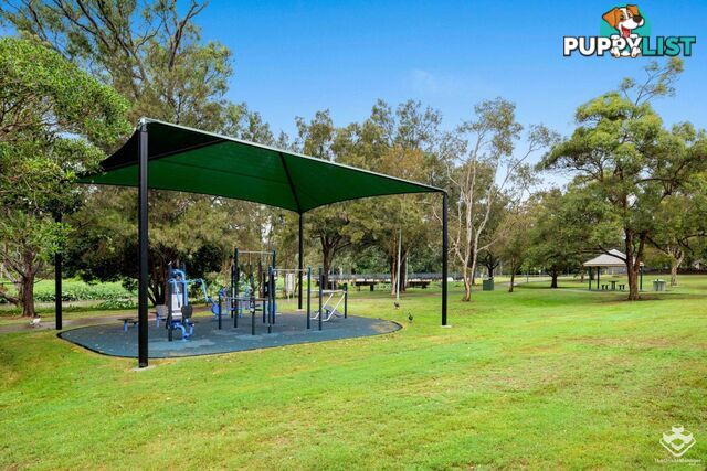 ID:21157794 16 Surbiton Court Carindale QLD 4152