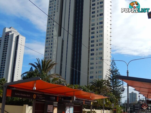 Surfers Paradise QLD 4217