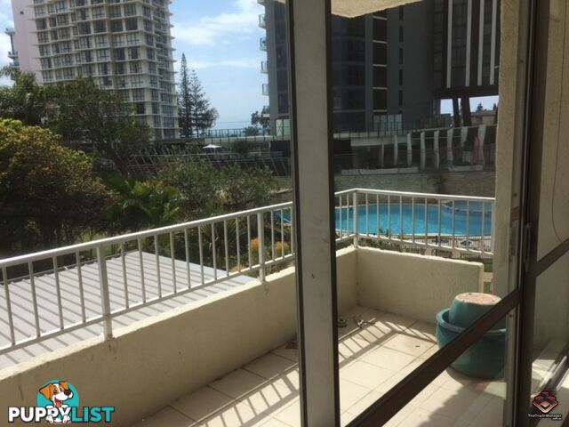 Surfers Paradise QLD 4217