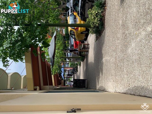ID:21156110 75 Welsby Street New Farm QLD 4005