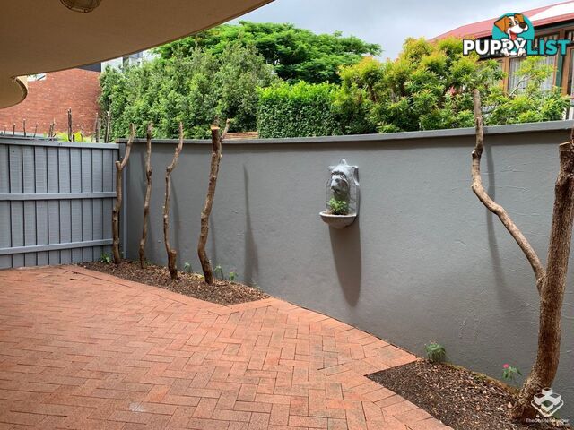 ID:21156110 75 Welsby Street New Farm QLD 4005