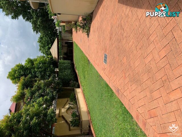 ID:21156110 75 Welsby Street New Farm QLD 4005