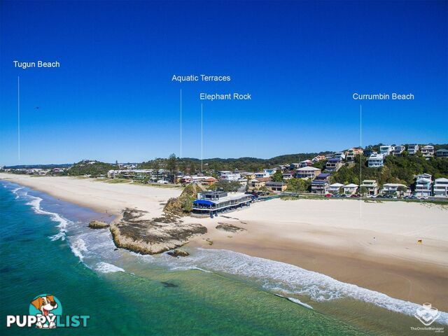 ID:21157539 527 Gold Coast Highway Tugun QLD 4224