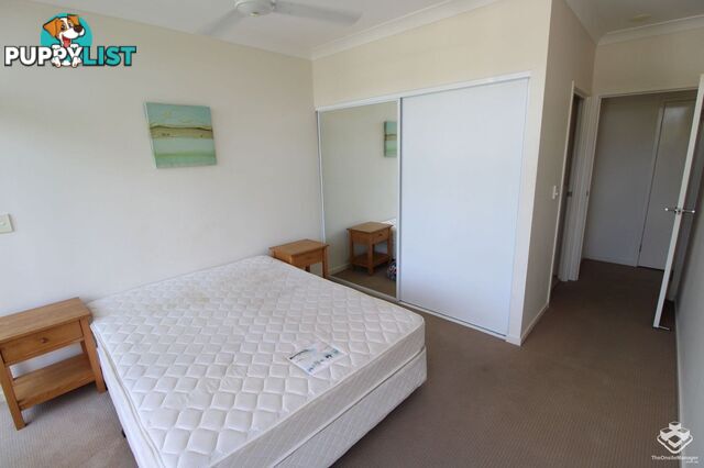 ID:21154628 65 Manooka Drive Cannonvale QLD 4802