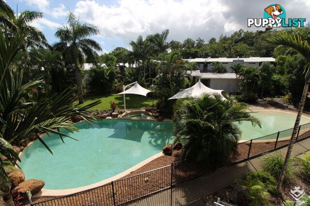 ID:21154628 65 Manooka Drive Cannonvale QLD 4802