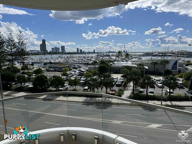 ID:21158542 14 MacArthur Parade Main Beach Qld 4217
