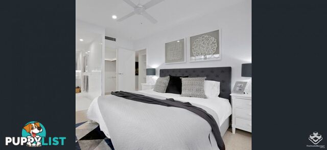 ID:21155423 388 Marine Parade Labrador QLD 4215