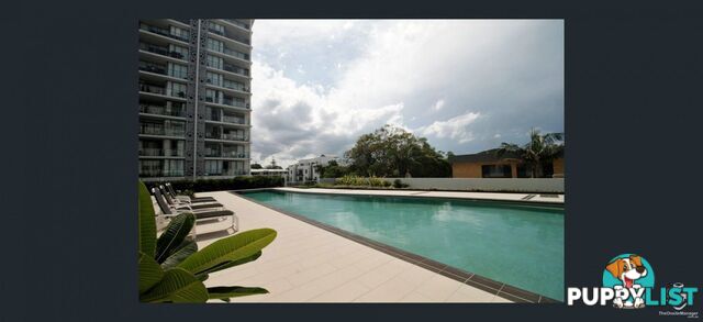 ID:21155423 388 Marine Parade Labrador QLD 4215
