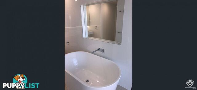 ID:21155423 388 Marine Parade Labrador QLD 4215