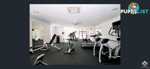 ID:21155423 388 Marine Parade Labrador QLD 4215