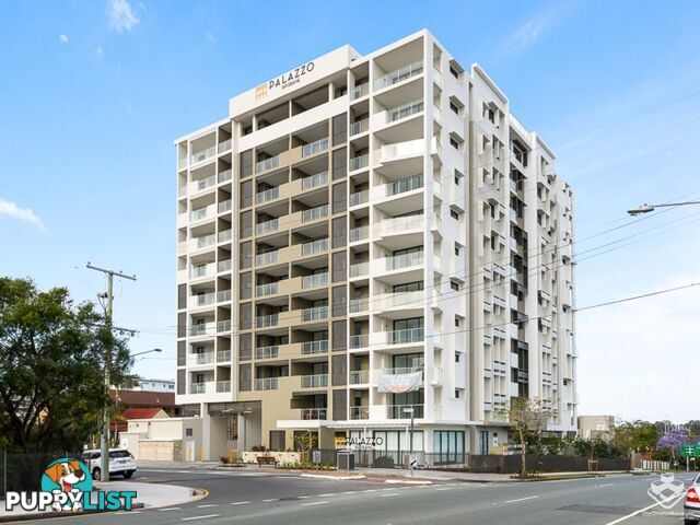 ID:21135561/ 70 Carl Street Woolloongabba QLD 4102