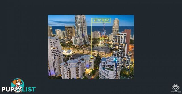 ID:21140316/ 21-31 Cypress Avenue Surfers Paradise QLD 4217