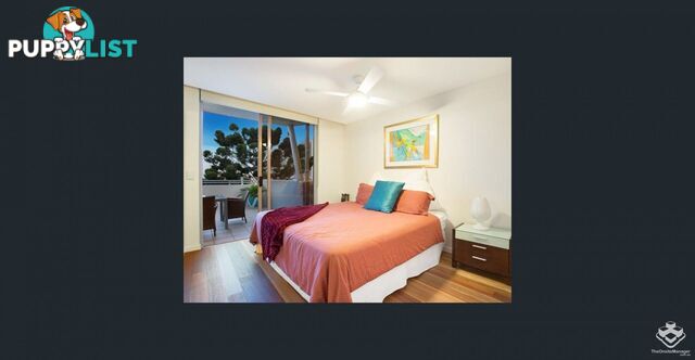 ID:21140316/ 21-31 Cypress Avenue Surfers Paradise QLD 4217