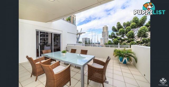 ID:21140316/ 21-31 Cypress Avenue Surfers Paradise QLD 4217