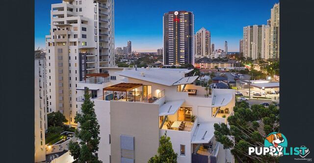 ID:21140316/ 21-31 Cypress Avenue Surfers Paradise QLD 4217