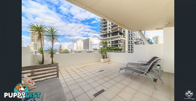 ID:21140316/ 21-31 Cypress Avenue Surfers Paradise QLD 4217