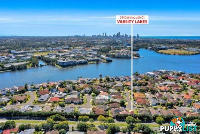 29 Dartmouth Court Varsity Lakes QLD 4227