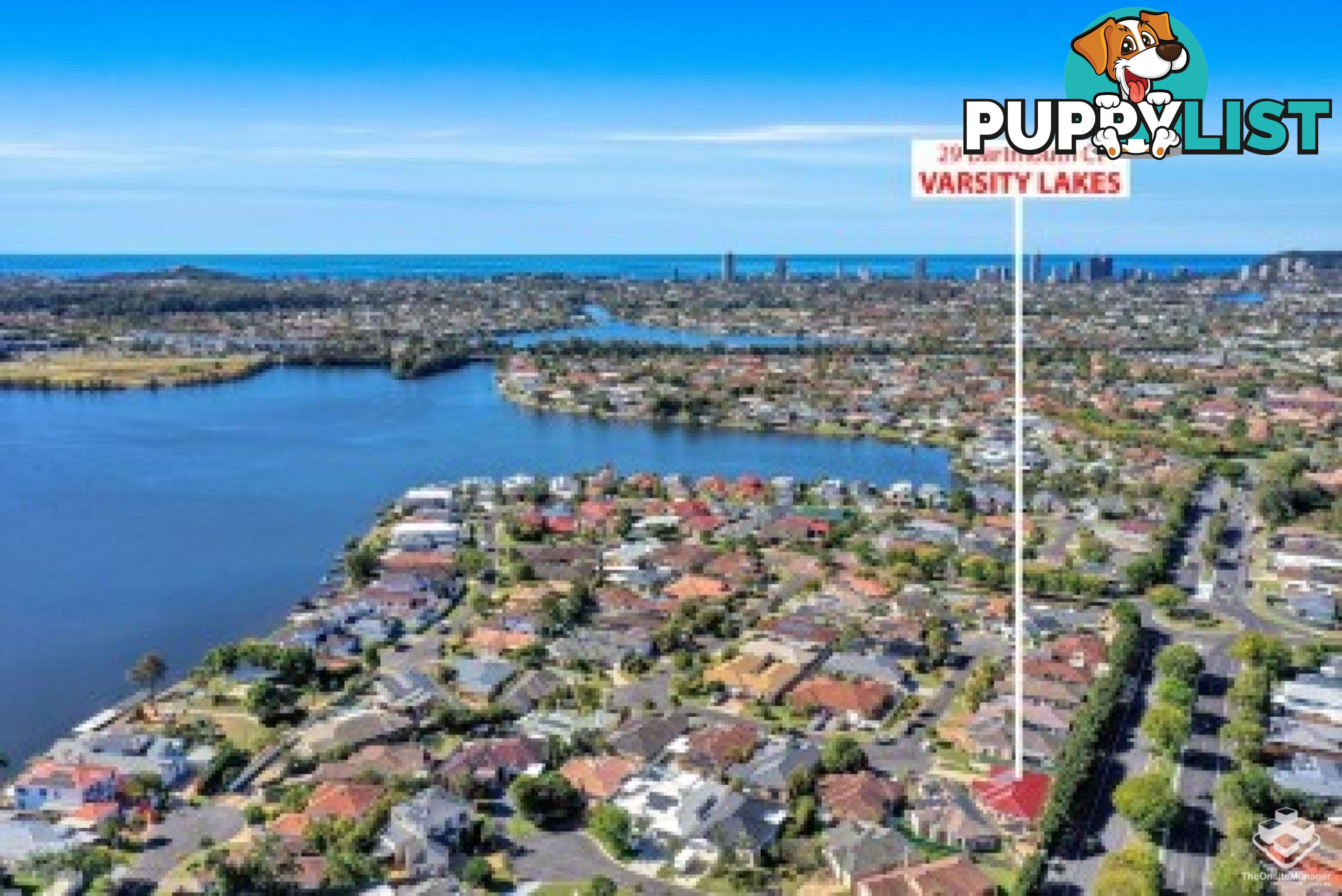 29 Dartmouth Court Varsity Lakes QLD 4227