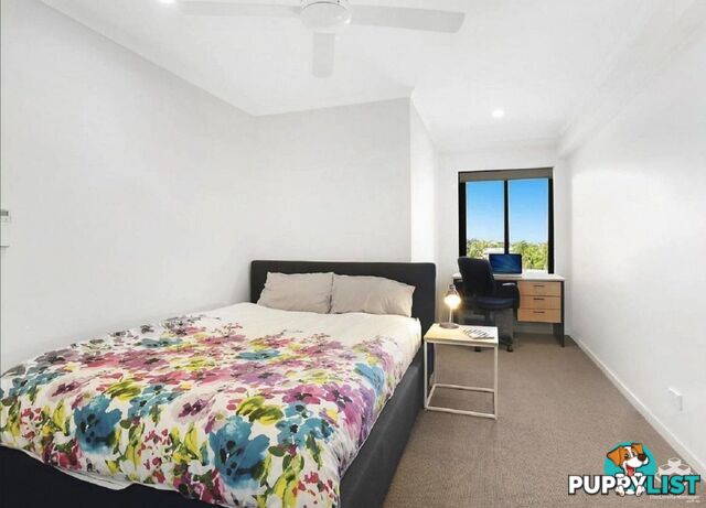 ID:21151468 35 Alice Street Kedron QLD 4031