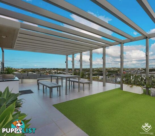 ID:21151468 35 Alice Street Kedron QLD 4031