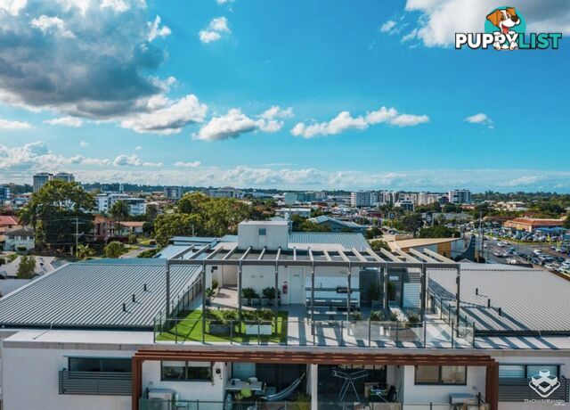 ID:21151468 35 Alice Street Kedron QLD 4031