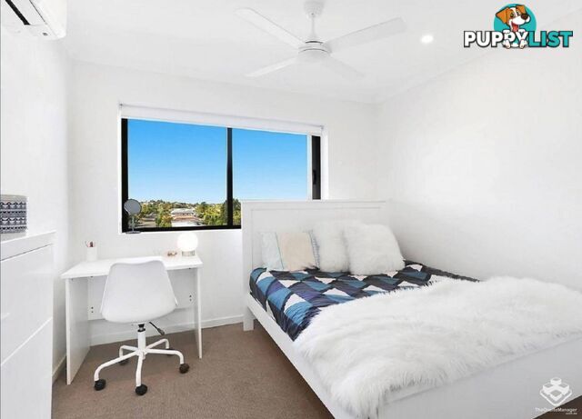 ID:21151468 35 Alice Street Kedron QLD 4031