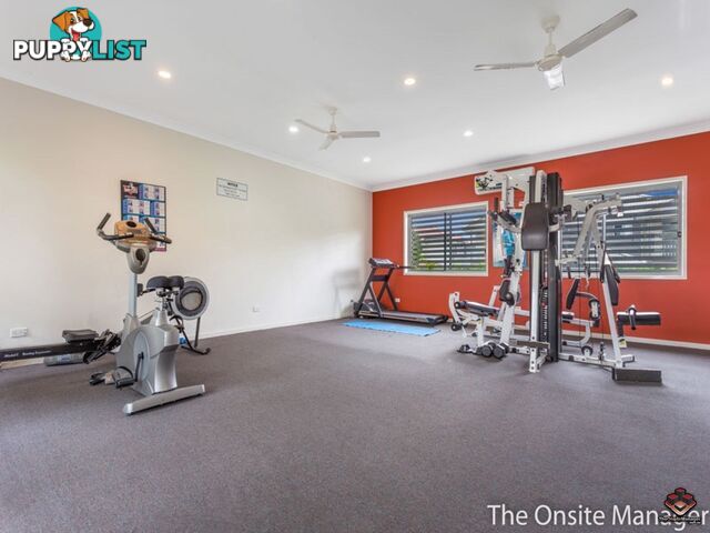 24 Earnshaw Street Calamvale QLD 4116