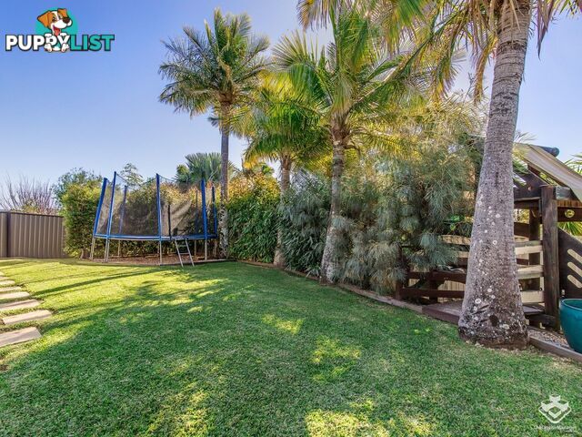 14 Singleton Court Helensvale QLD 4212