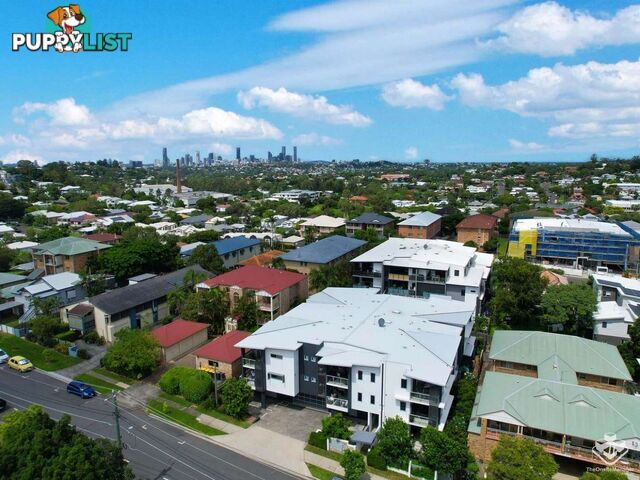 ID:21142983/24 Denman Street Alderley QLD 4051