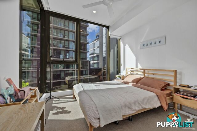 808/1055 Ann Street Newstead QLD 4006