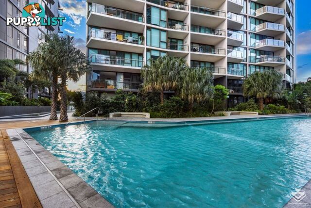 808/1055 Ann Street Newstead QLD 4006