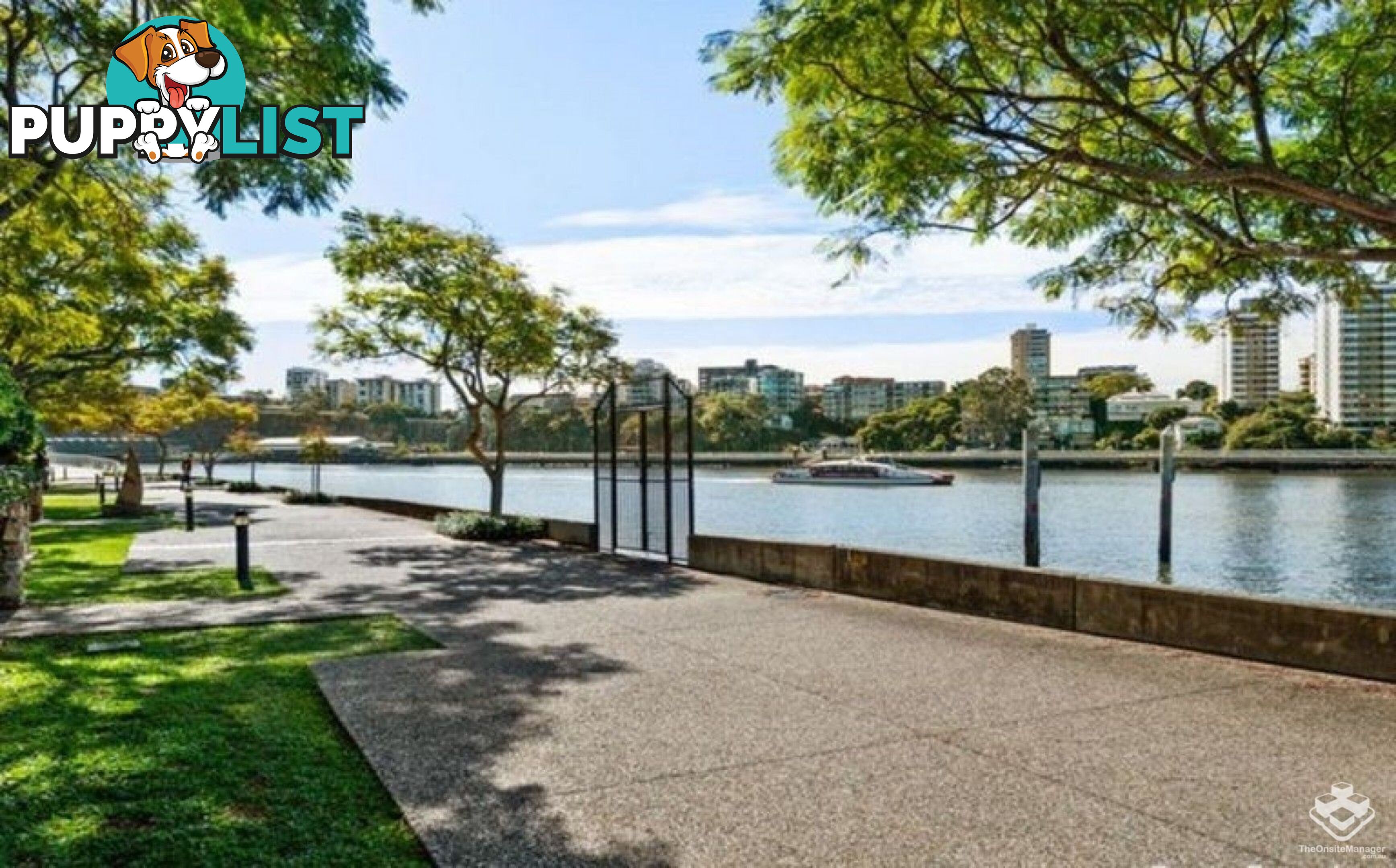 ID:21141532/55 Baildon Street Kangaroo Point QLD 4169