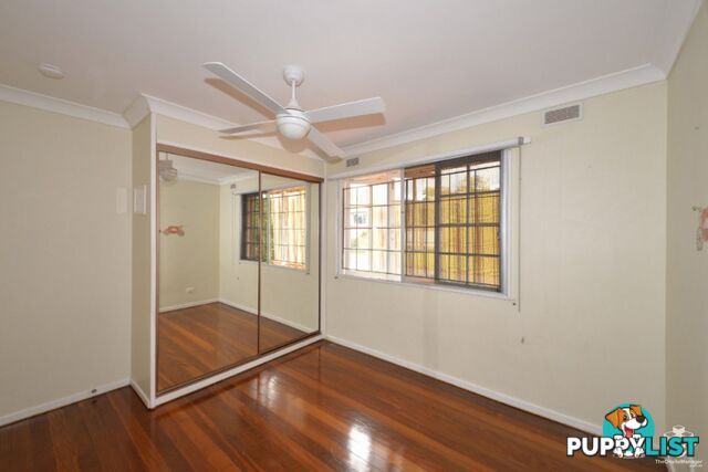 3 Woggle Street Jamboree Heights QLD 4074