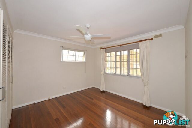 3 Woggle Street Jamboree Heights QLD 4074