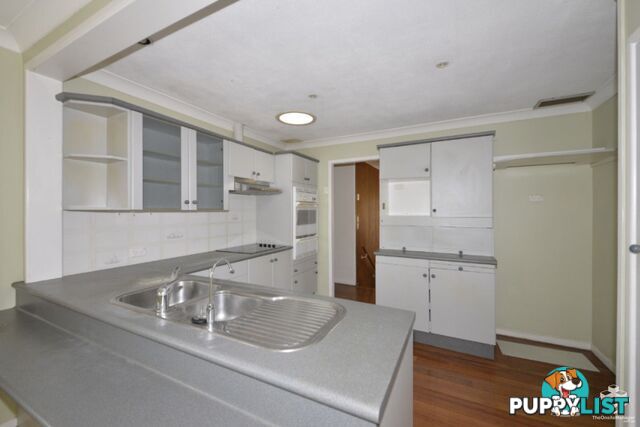 3 Woggle Street Jamboree Heights QLD 4074