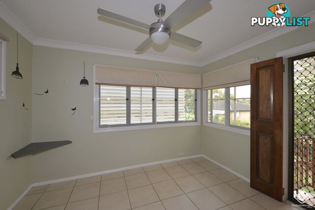 3 Woggle Street Jamboree Heights QLD 4074