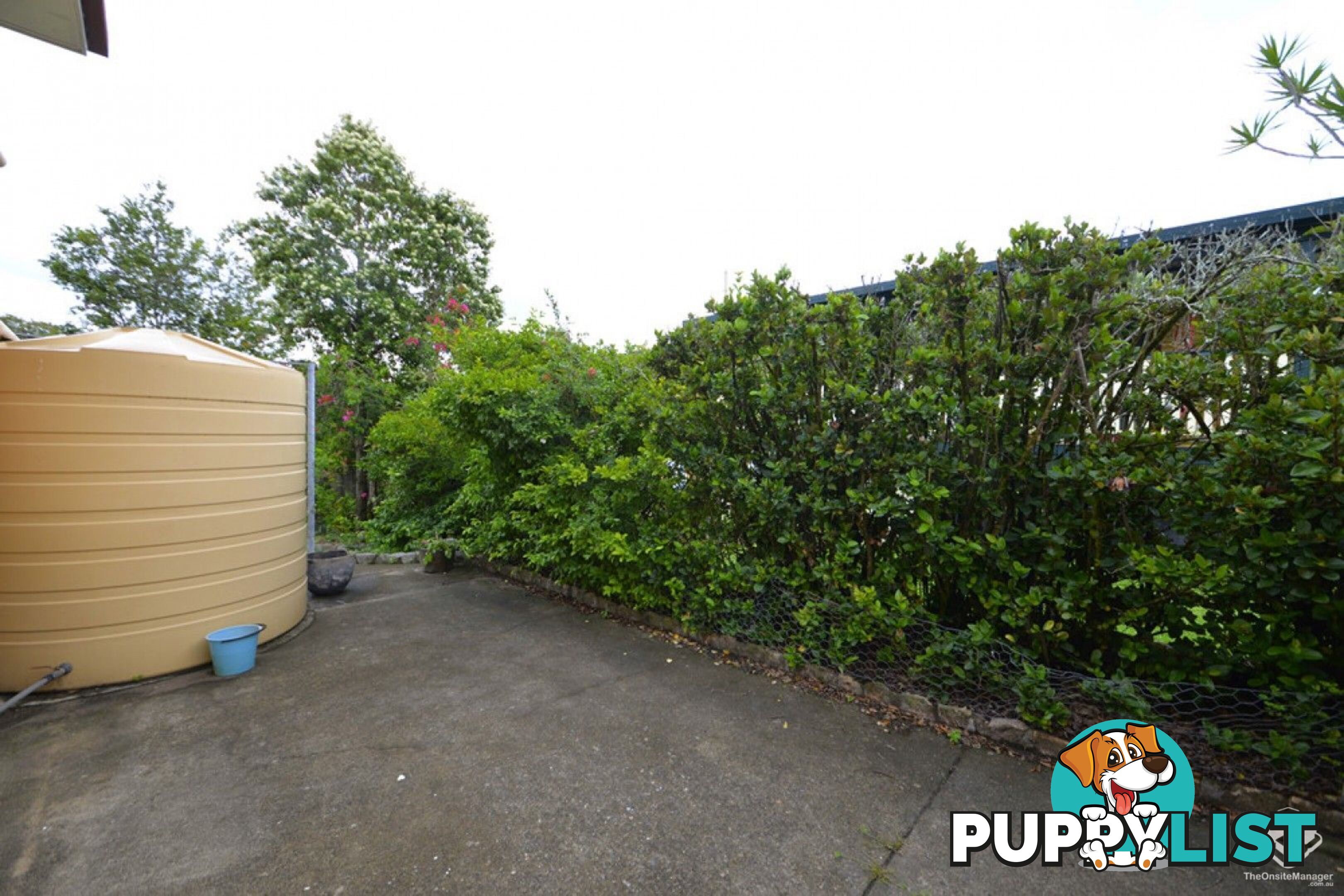 3 Woggle Street Jamboree Heights QLD 4074
